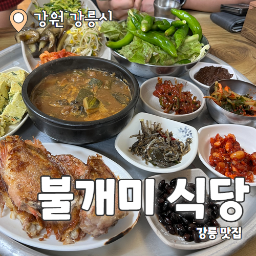  불개미식당 : 허영만 백반기행 강릉 중앙시장 보리밥정식 내돈내산 후기