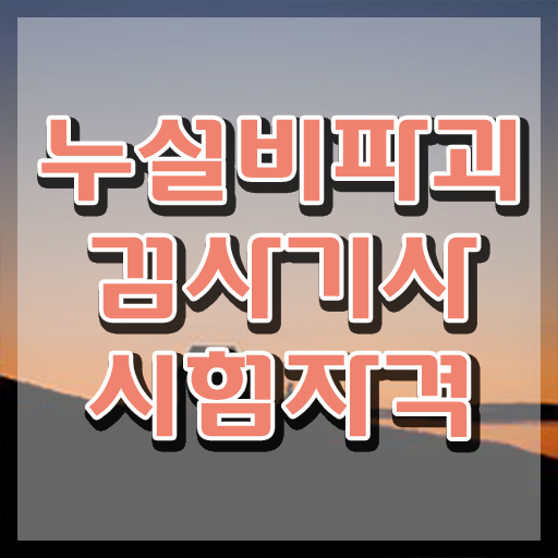  누설비파괴검사기사 응시자격 집에서 온라인으로 빠르게 성공한 팁