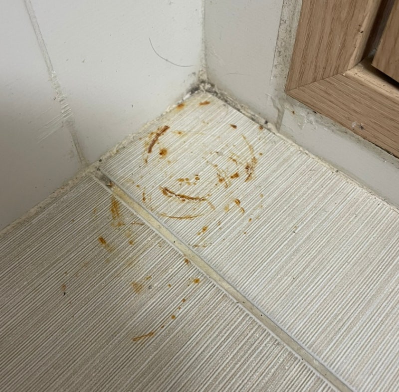 욕실 바닥 타일 녹제거 하는 법