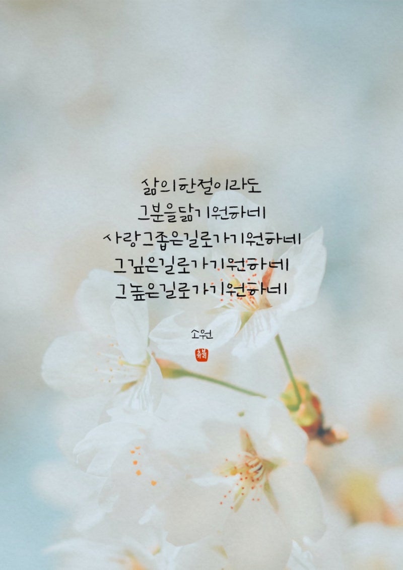 [CCM] 소원 악보/가사/듣기wish 꿈이있는자유 3집 아침묵상 한웅재_저높이솟은산이되기보다오....