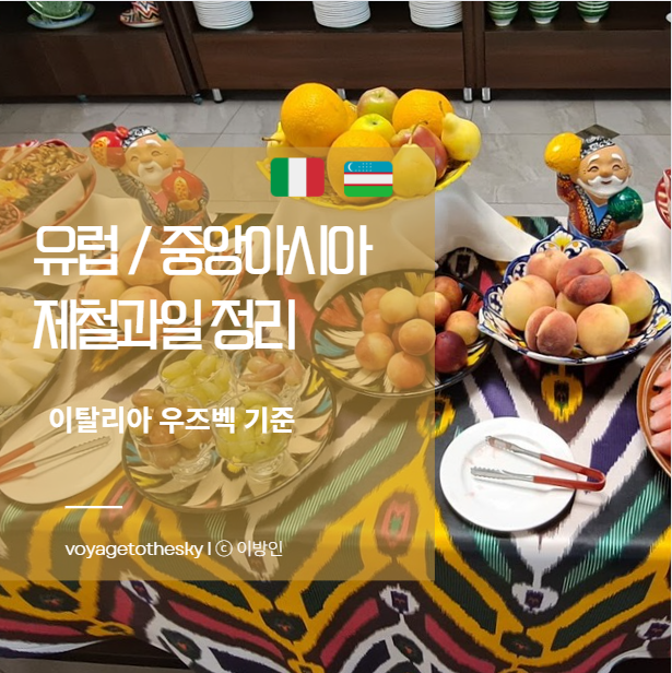  유럽과 중앙아시아의 월별 제철과일 정리 I 우즈베키스탄 이탈리아 기준
