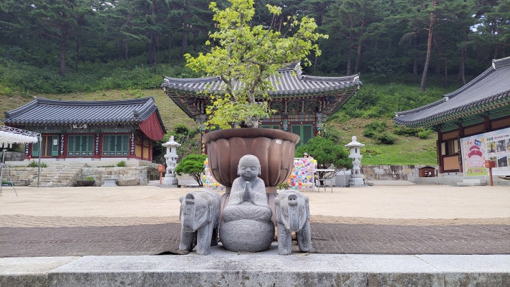 [강원 강릉] 천년의 쉼터 마음의 고향, 강릉 보현사