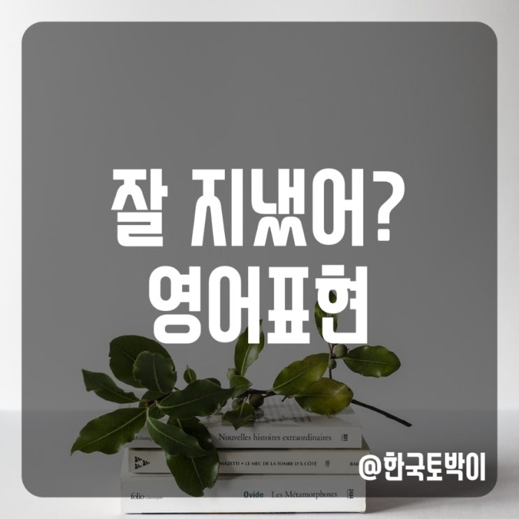  잘 지냈어? 영어로 (how are you?와 How have you been? 뜻 차이)