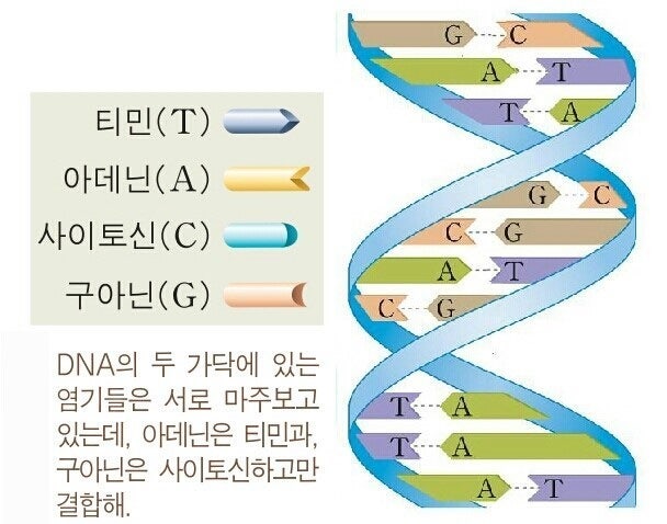후성 유전학이란? : 네이버 블로그