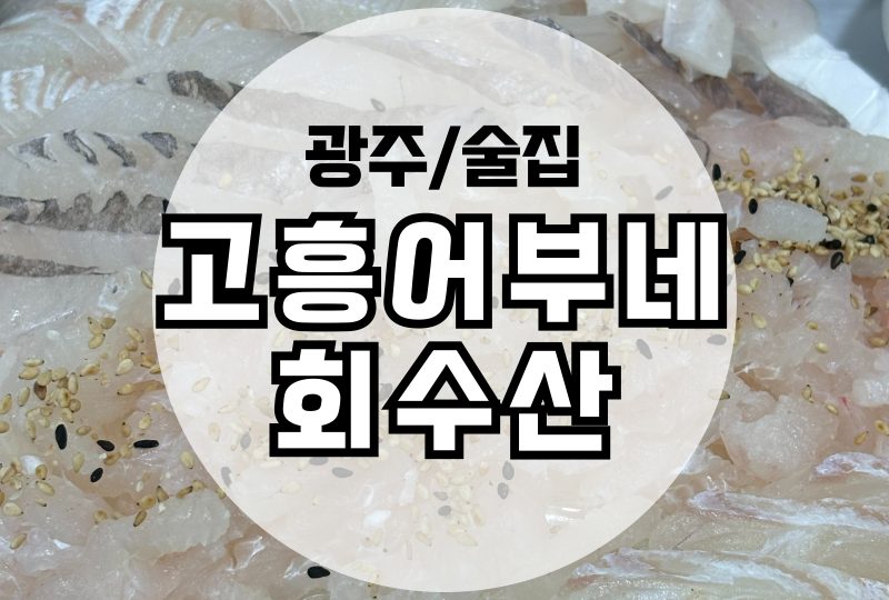 말바우시장 횟집 고흥어부네회수산 낮술가능 강추 !