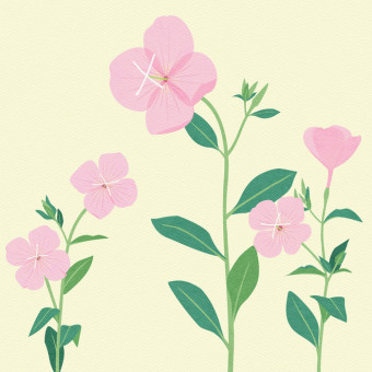 꽃은 피는데(Flowers bloom)