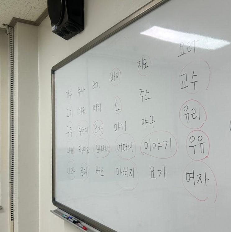  열심히 일하고 열심히 놀고 열심히 마신 일주일 10