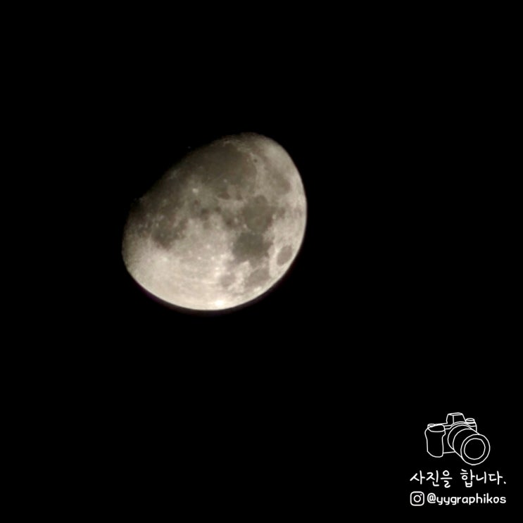 [포토덤프 시즌 2] 술 좀 줄여야겠네요.