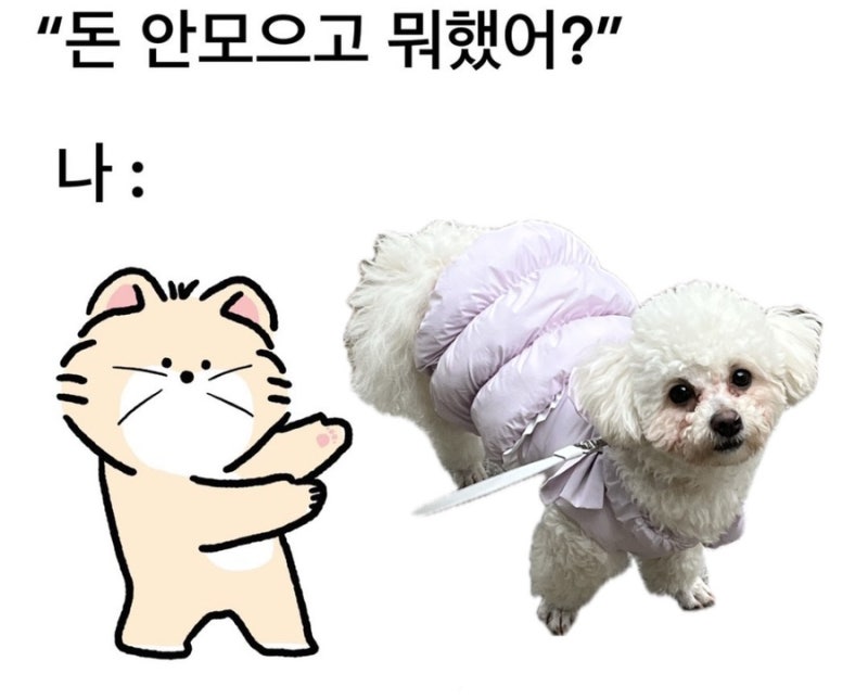 사진 2