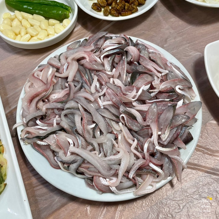  무조건 예약 필수! 전어회가 찐으로 맛있는 마산 어시장 감포횟집