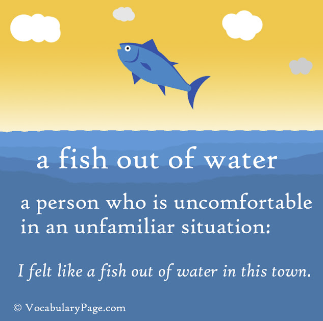  [영어] Fish out of water를 아시나요?