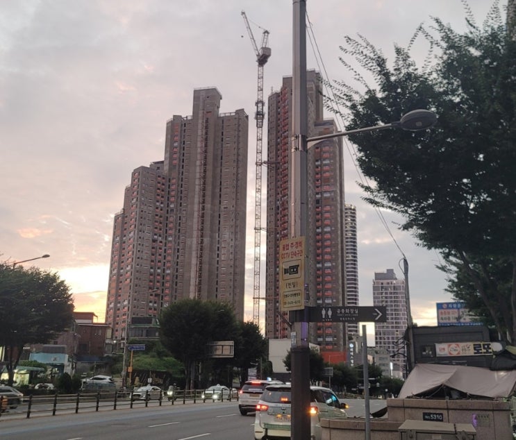  득실 得失