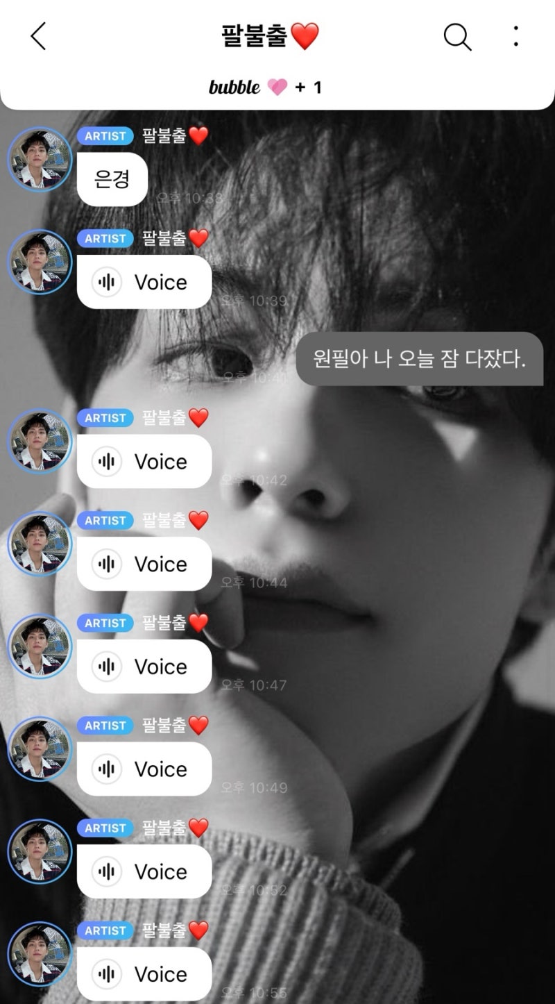 데이식스 버블하는법, 김원필 버블 구독 후기
