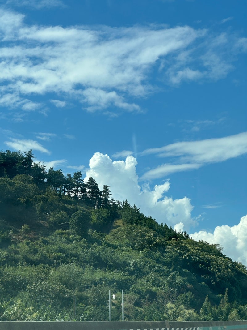 24. 9. 15. 구례 지리산치즈랜드 라플라타 투다리 포토레이블 코인노래방 : 네이버 블로그