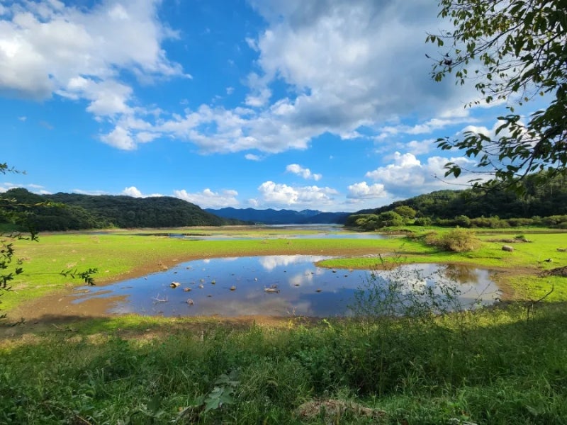 사진 8