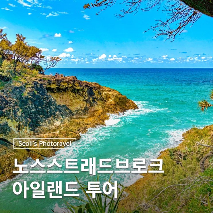  호주 브리즈번 여행 노스스트래드브로크 아일랜드 투어
