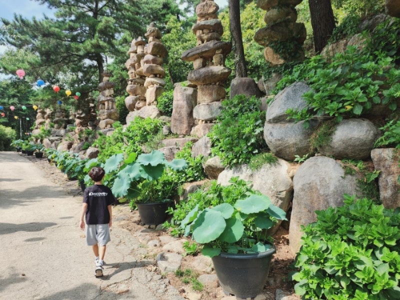 대구 근교 합천 천불천탑 밤줍기 체험
