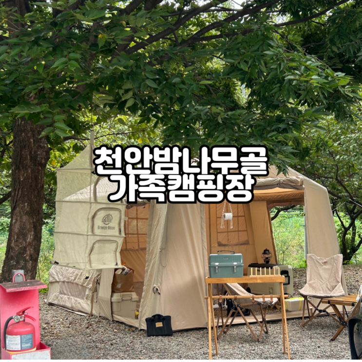  천안 캠핑장 추천 천안 밤나무골 가족캠핑장 2박3일 a사이트 캠핑후기