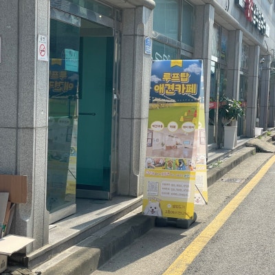 사진 8