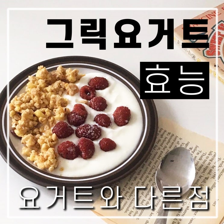  수제 그릭요거트 효능 효과 칼로리 요거트와 차이점은?