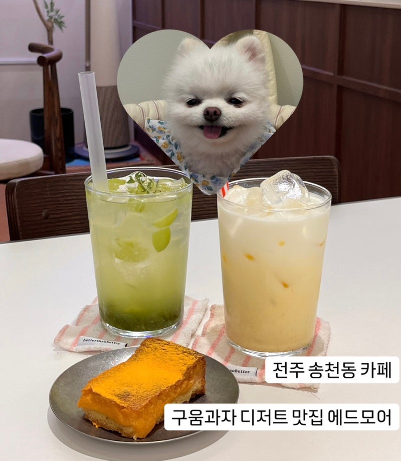 사진 5