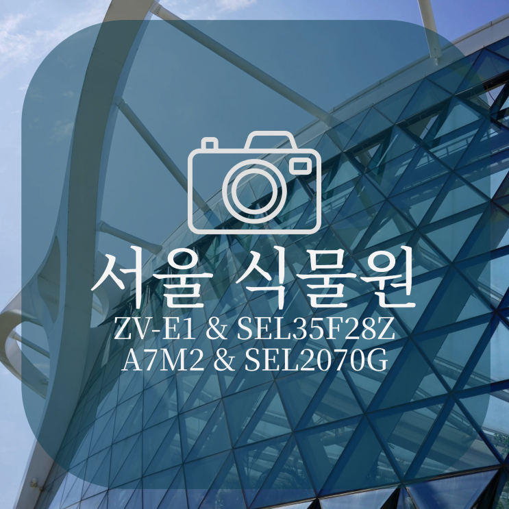  서울 식물원으로 꽃과 식물 출사 다녀오기(ZV-E1 & SEL35F28Z, A7M2 & SEL2070G)