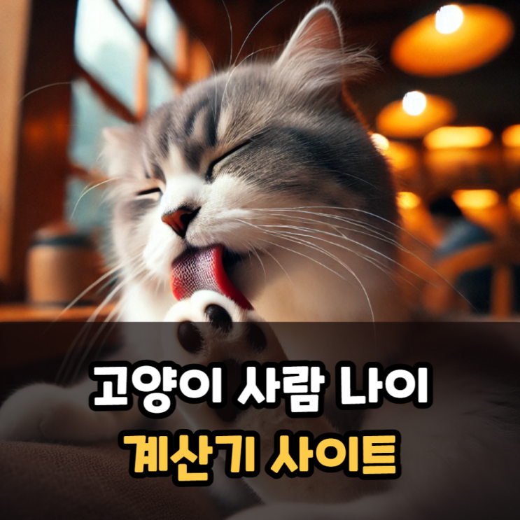  고양이 사람 나이 계산기 사이트