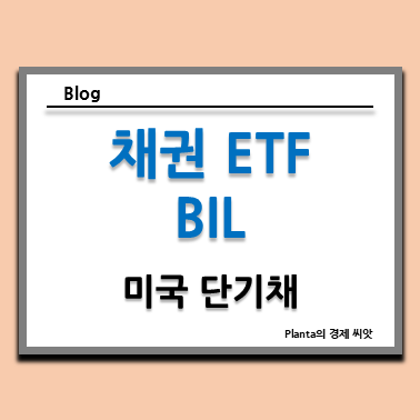 미국 단기 채권 : BIL ETF 국채 투자하기