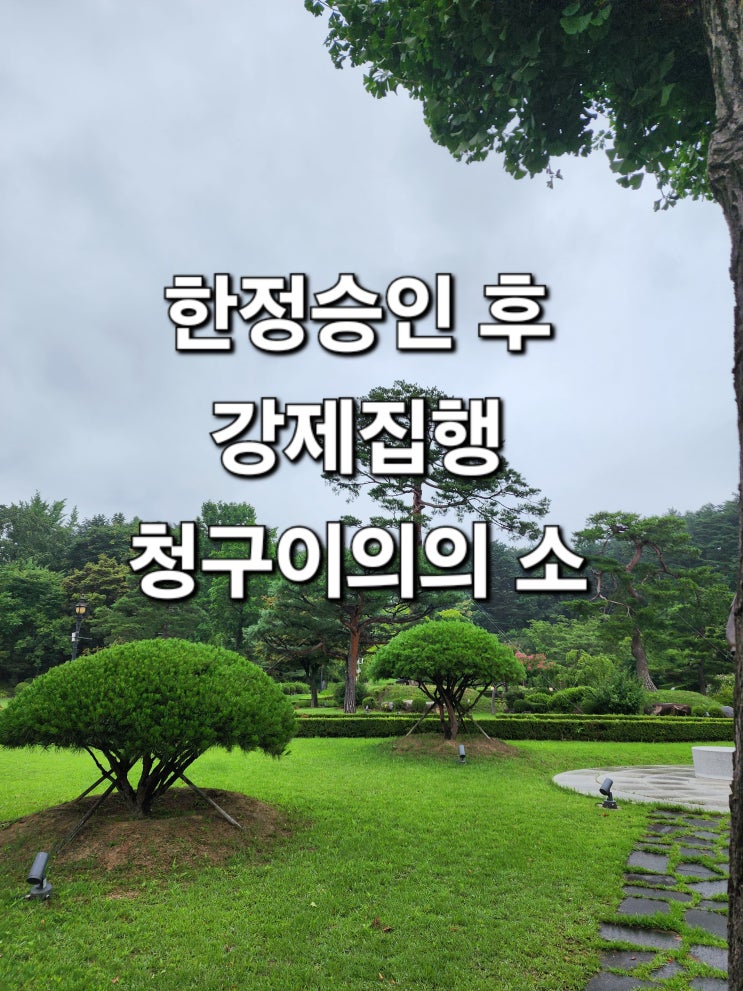  한정승인을 받았는데 상속인의 재산에 강제집행이 들어왔다면