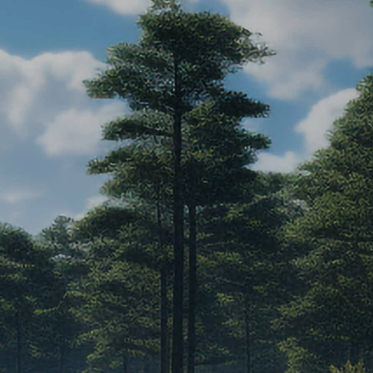 랠리 <b>자동차 경주</b>의 박진감 넘치는 질주본능