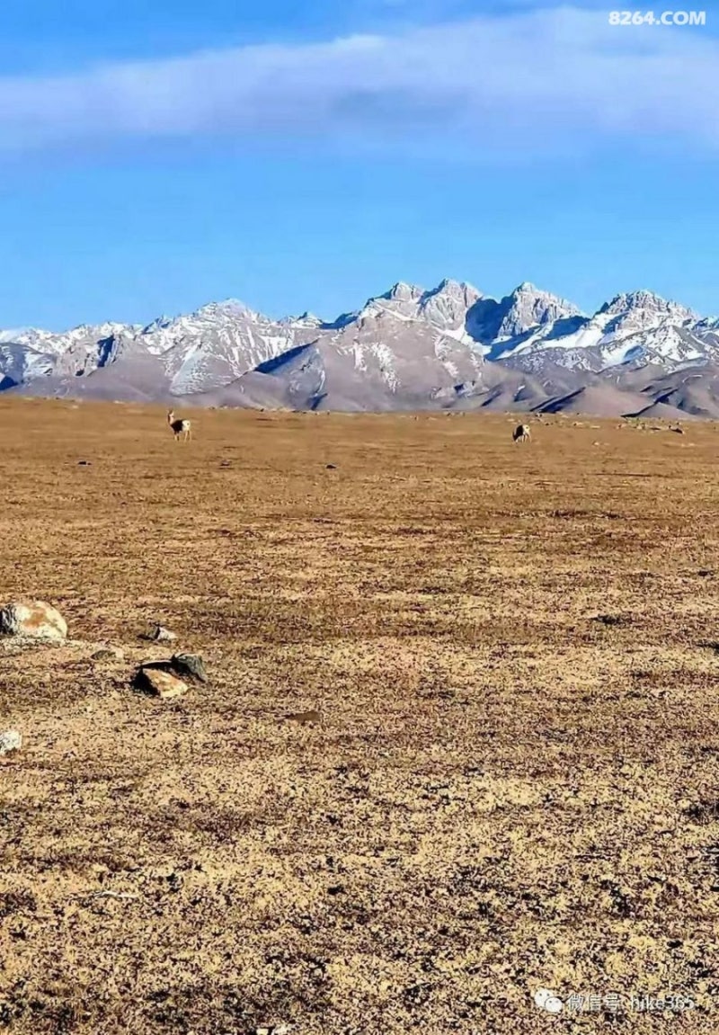 Korean Phila Times Vol 1205 by Korean Phila Times - Issuu, image size:800x1151