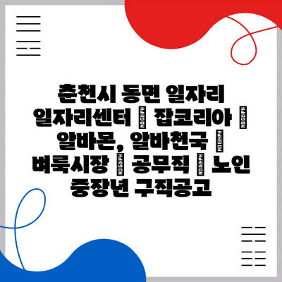  춘천시 동면, 다양한 알바 기회 & 프로그램으로 중장년층과 노인을 지원