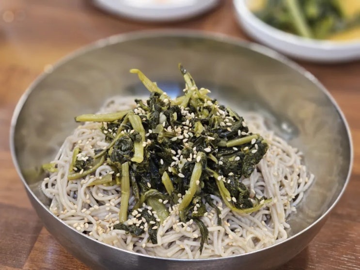  가평 막국수 맛집 가평냉면 부손 설악본점