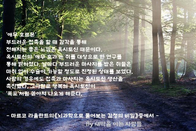 애무 애무