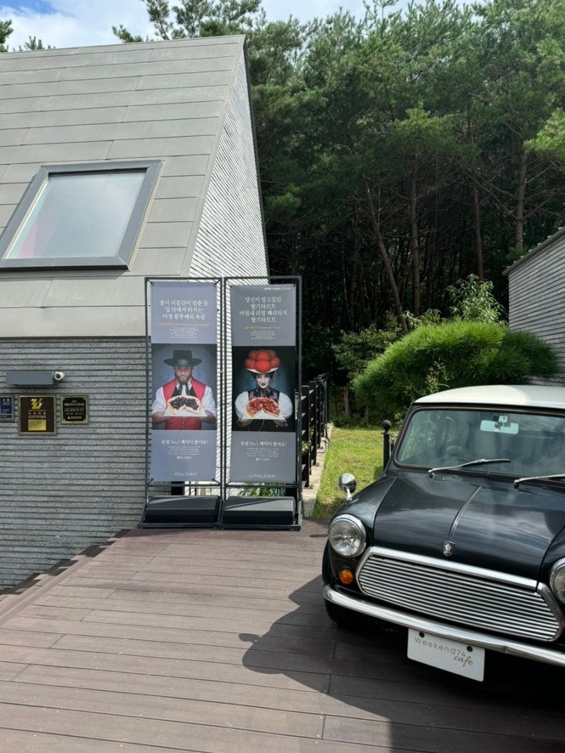 사진 8
