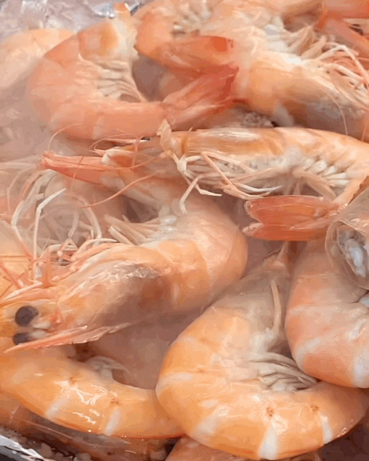  강화도 제철 대하(왕새우) 맛집 대산수산