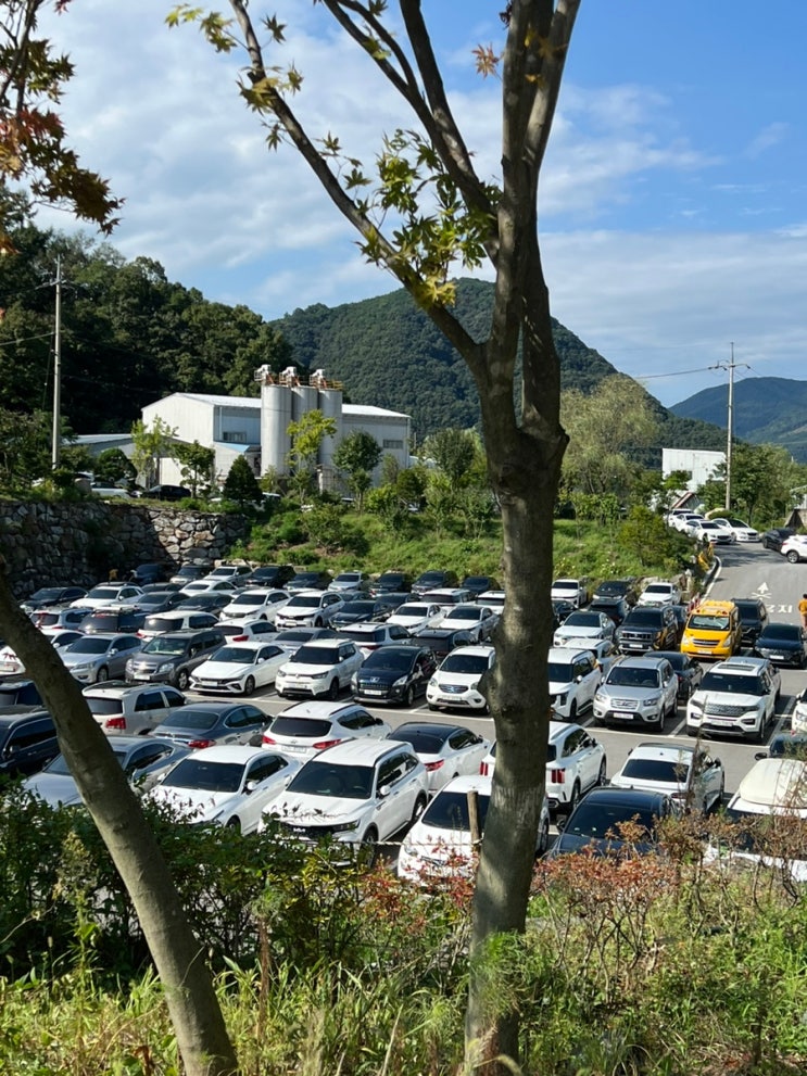  충주 활옥동굴 가격 할인 주차장 입장권