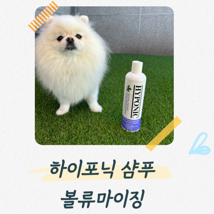 하이포닉 샴푸, 미스트를 쓰고 달라진 털과 모질  상태