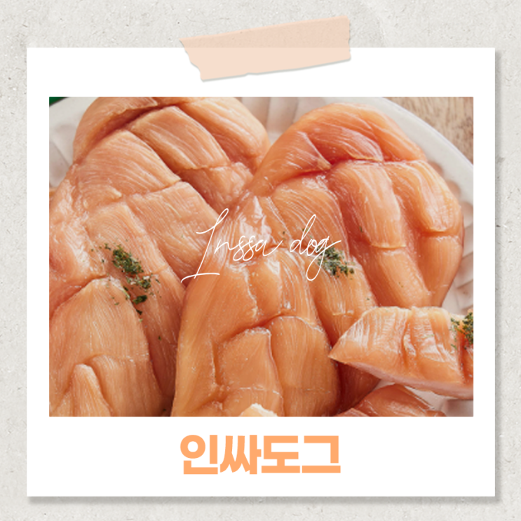  반려동물 수제간식 추천 인싸도그 애견간식 통가슴살져키