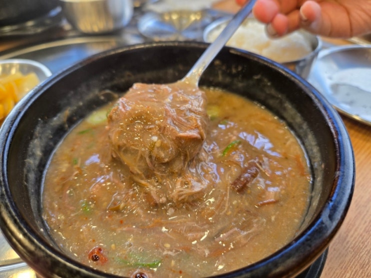  제주공항 근처 고사리 육개장 맛집 아침식사 애견동반 제주해장국