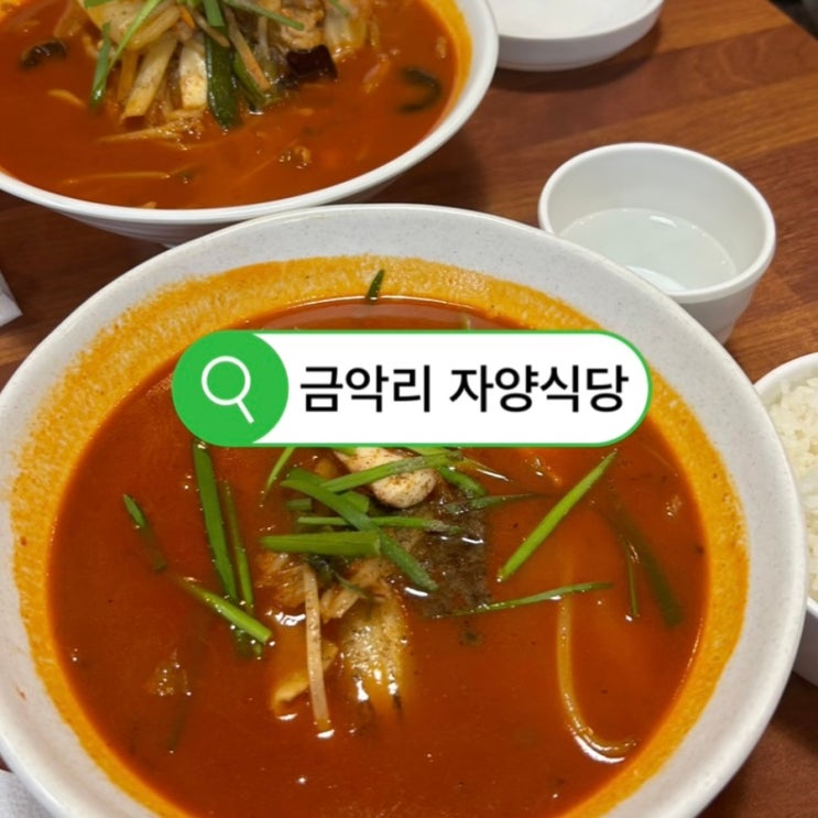 [제주금악] 제주도에서만 맛볼 수 있는 닭짬뽕 맛집 | 백종원 선생님 다녀간 금악리 자양식당