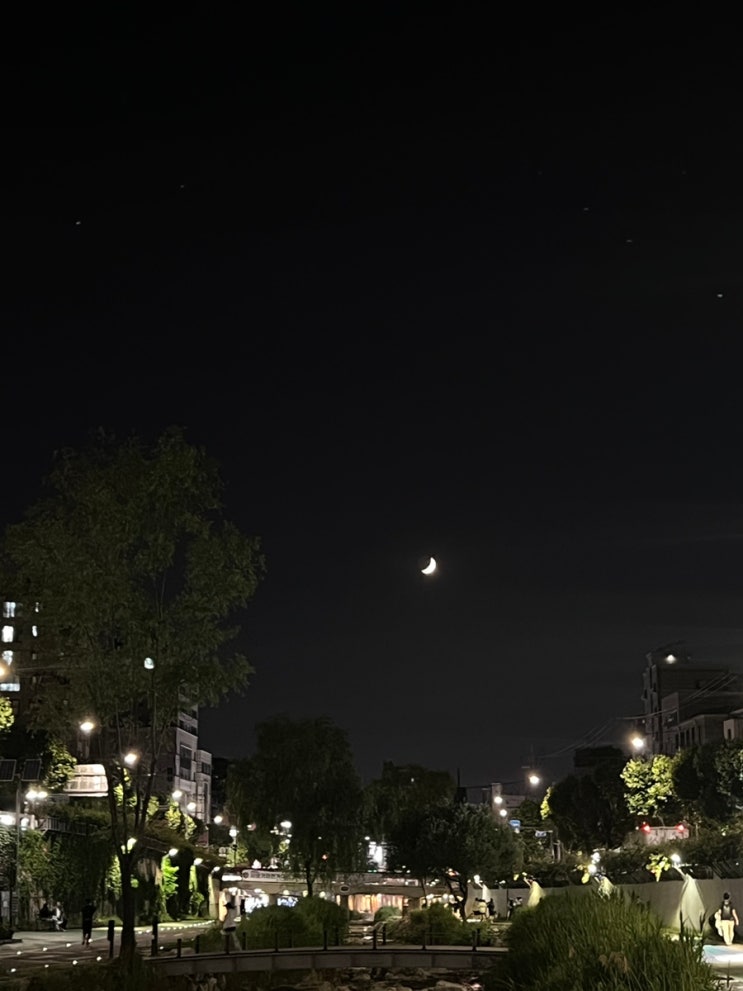  6월 일기ㅣ일본 여행 제주도 한달살기 준비하기