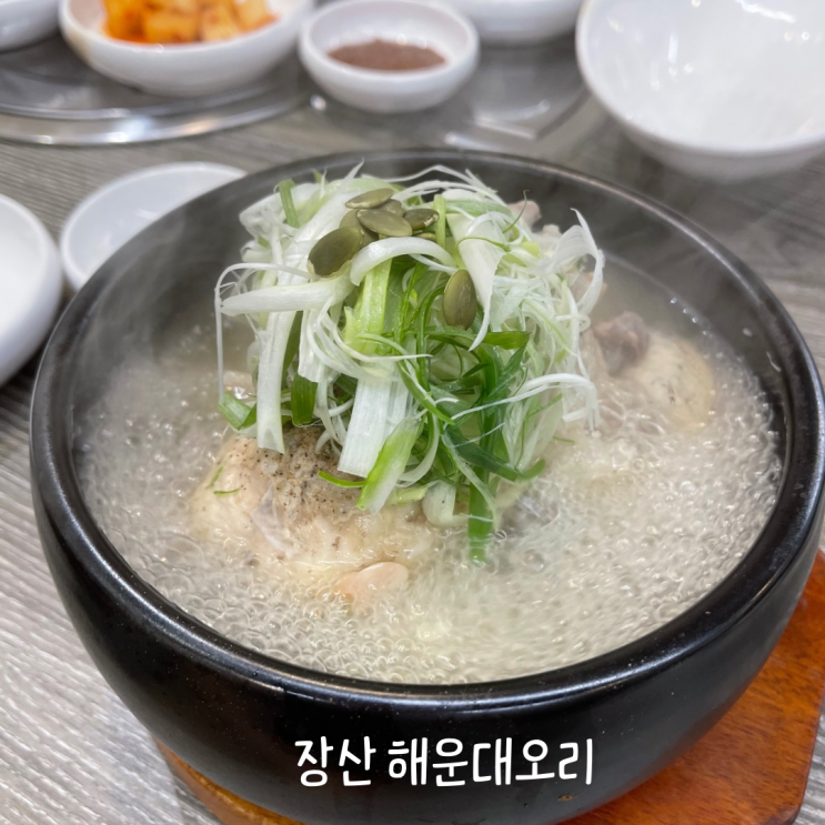  해운대오리에서 보양식 삼계탕 한그릇 완뚝