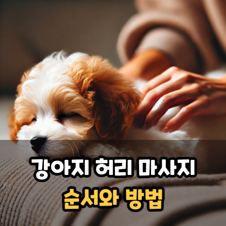 강아지 허리마사지 방법