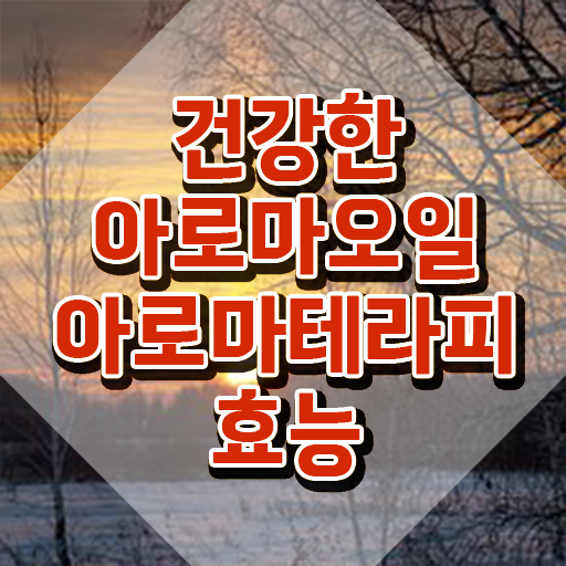  아로마뷰티diy지도사 클래스 , 아로마뷰티DIY지도사 자격증 온라인으로 합격한 전략 핵심 정보