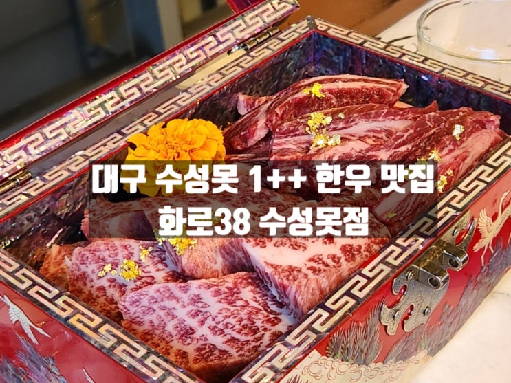 대구 두산동 수성구 1++ 한우맛집 화로38 수성못점 대구 두산동 수성구 1++ 한우맛집 화로38 수성못점