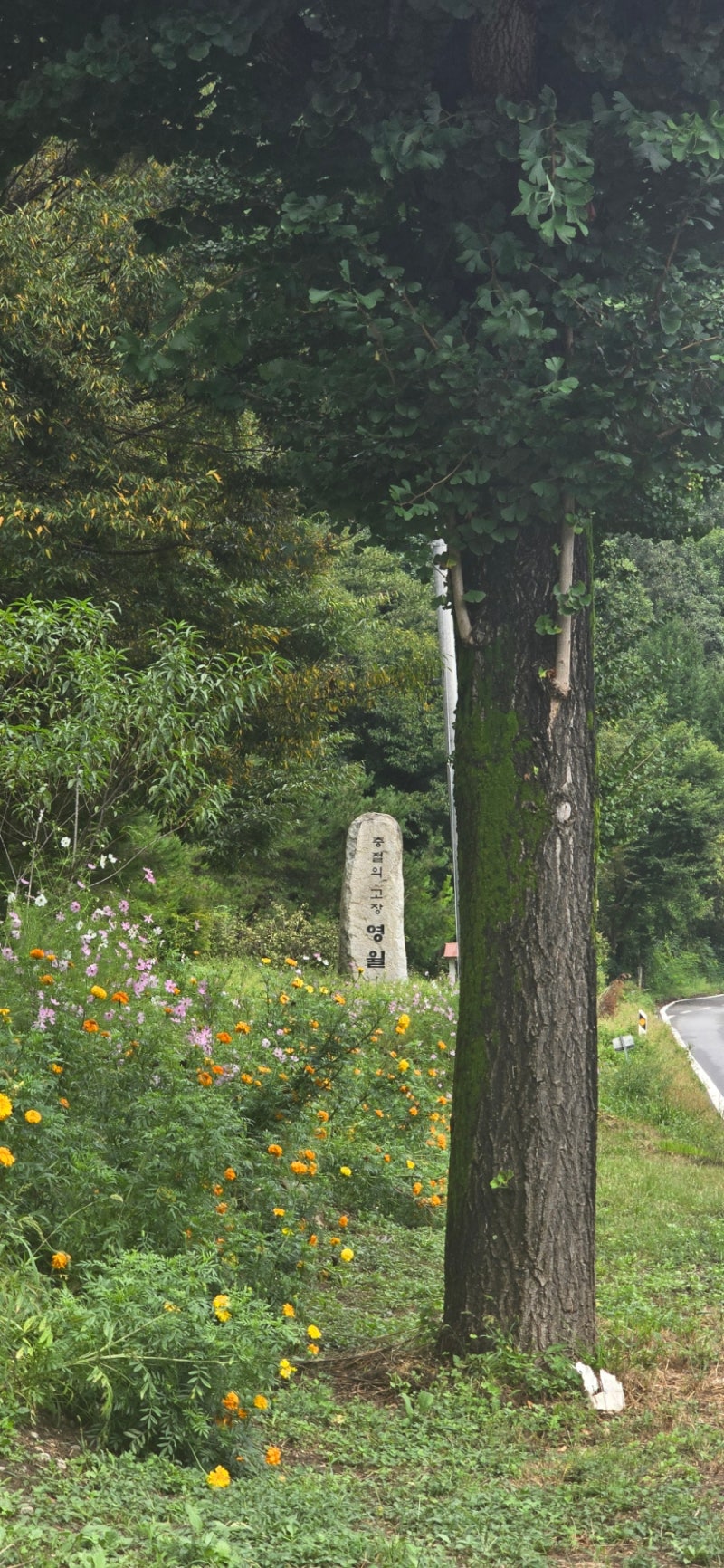 사진 2