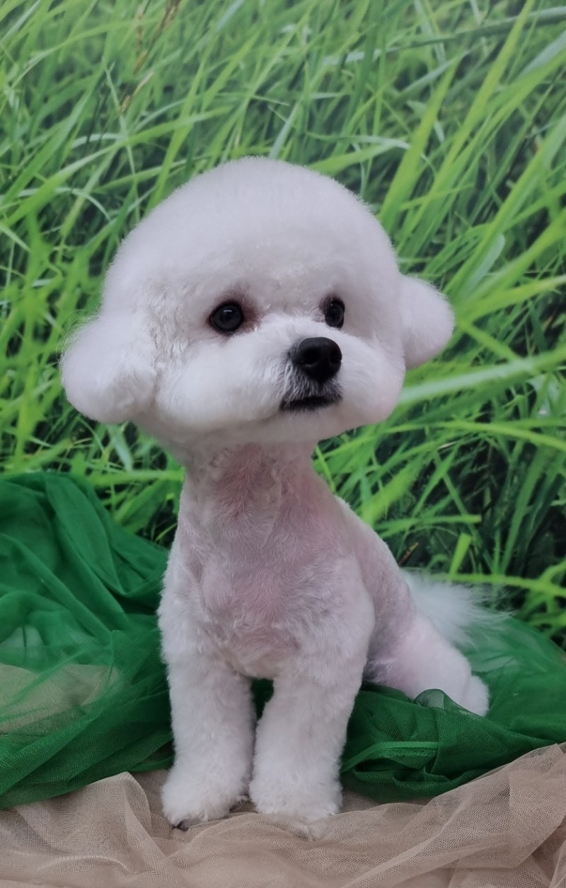 사진 3