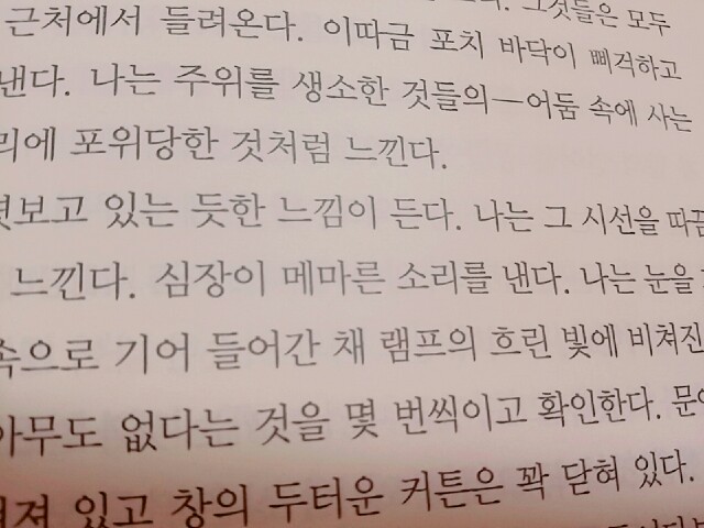 [일상기록] 미들31/벽강물회/떠먹는두바이초콜릿케이크/경복짬뽕