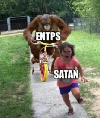  ESTP 여자가 분석한 ENTP 남자 여자 성격 연애